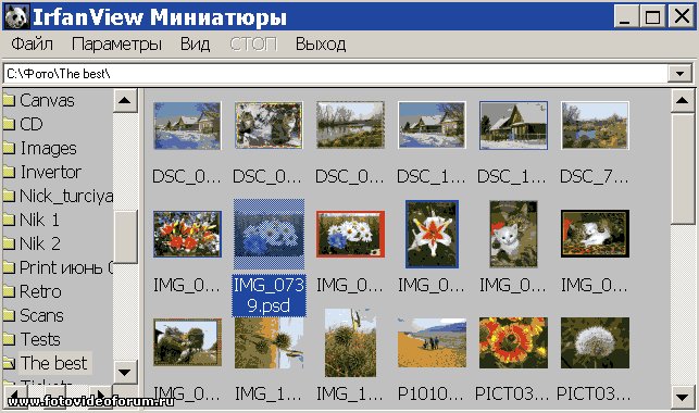 Программа для просмотра изображений irfanview