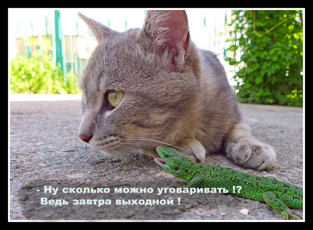 Сегодня пятница а завтра выходной песня. Сегодня пятница а завтра выходной. Завтра выходной. Пятница завтра выходной. Завтра выходной картинки.