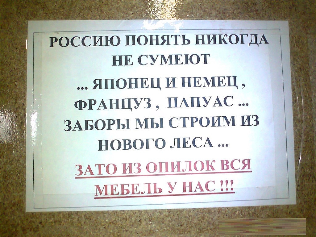 Никогда не понимал. Смешные фразы про Россию. Цитаты про Россию смешные. Анекдоты про Россию смешные. Анекдоты про мебельщиков смешные.