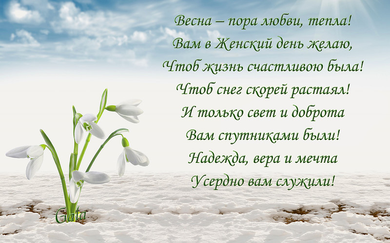 Песня какой был ласковый мужик. Ласковый мужик стихи Рубальской. Рубальская мне приснился ласковый мужик стихи. Стихи Рубальской мне приснился ласковый мужик.