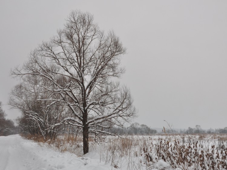 Село преображенка