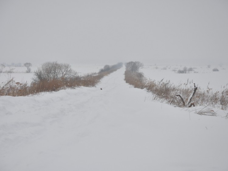 Село преображенка