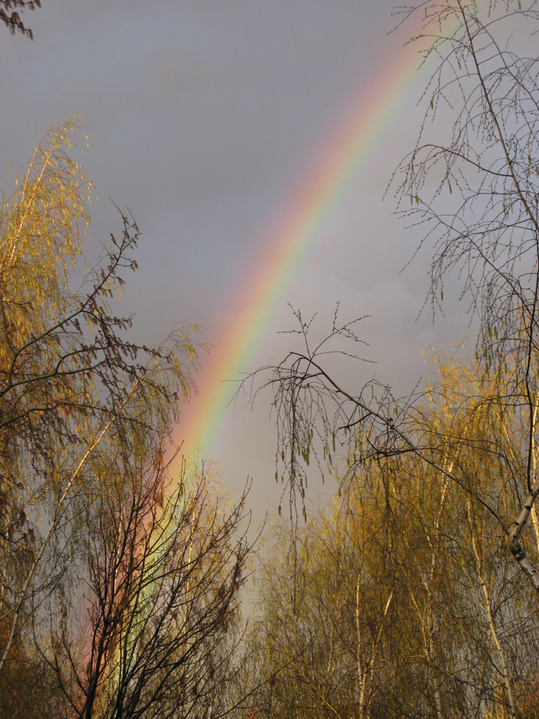 Фото весна радуга