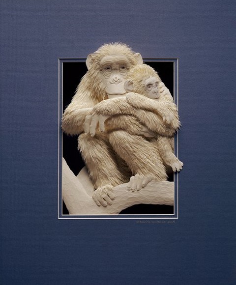 Бумажный зоопарк канадца Кэлвина Николлса - monkeys