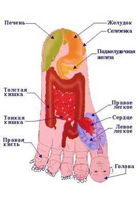 Что может нам рассказать наша ступня - 0ZmEzLWJm