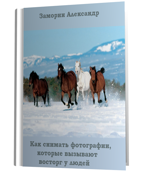 Книги по цифровой фотографии № 01 - a2ba45c214