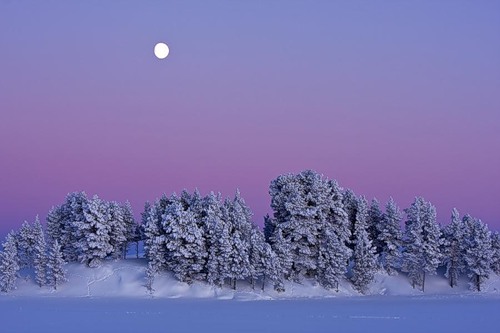 Краски и чудеса природы на фотографиях № 01 - 0_50ab_6066c077_L