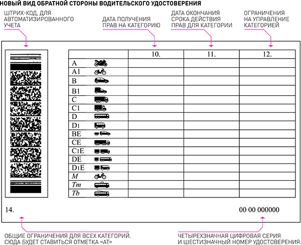 ПДД, смена прав, законы ГИБДД, таможенный кодекс - prava