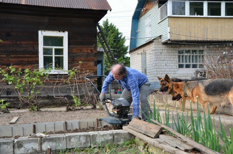 Ушел из жизни настоящий друг, наш пес Райс. Статья 19 - 8358c2c62e