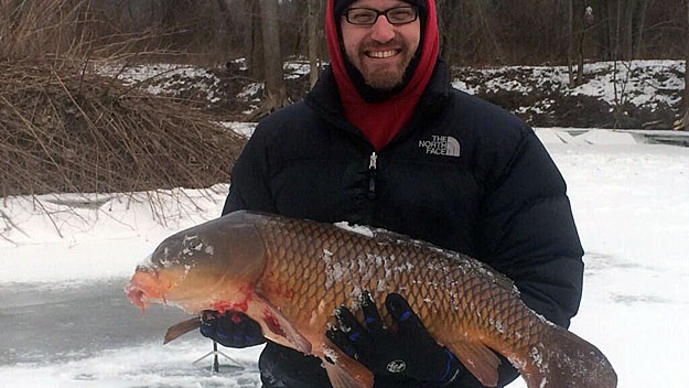 В Испании выловлен гигантский сом ! - carp-fish-credit-paul-tawczynski[1]