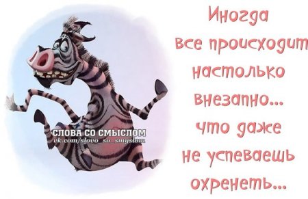 Юмор, анеки и все смешное в картинках № 11 - original[2]