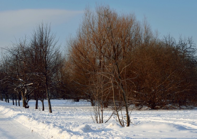 Зима у нас во всей своей красе 2013-14 № 02 - 29374