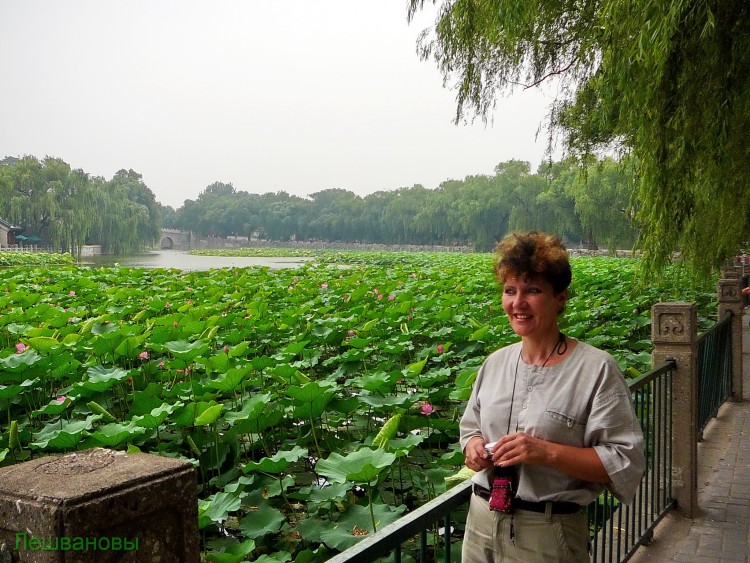 2007 год Китай Пекин Beihai Park Парк Бэй Хей - 22  2007.06.22 Парк Бэй Хей 004