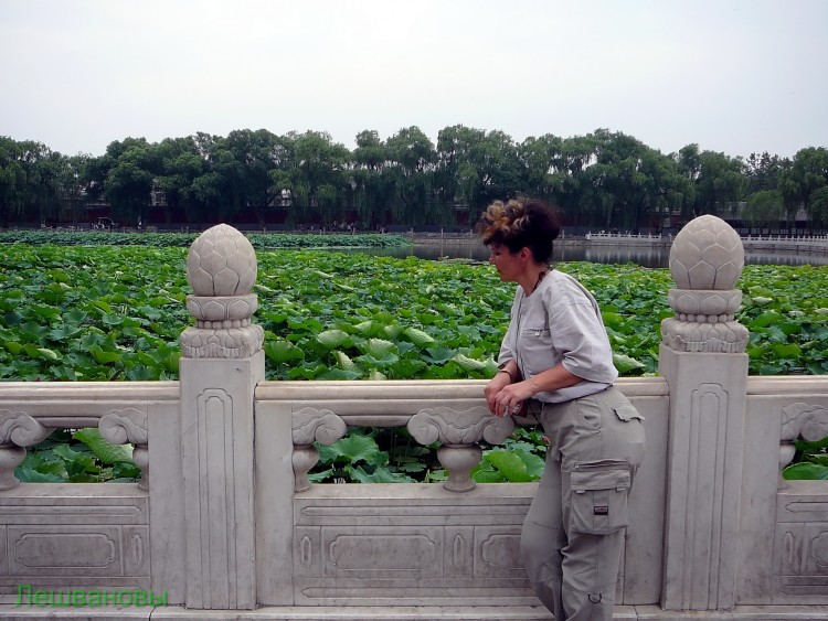 2007 год Китай Пекин Beihai Park Парк Бэй Хей - 22  2007.06.22 Парк Бэй Хей 174