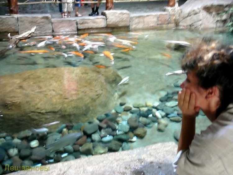 2007 год Китай Пекин Beijing Zoo Пекинский зоопарк - 16 2007.06.20 Океанариум 001.JPG