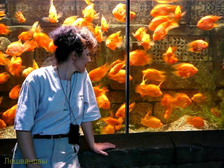 2007 год Китай Пекин Beijing Zoo Пекинский зоопарк - 16 2007.06.20 Океанариум 005.JPG