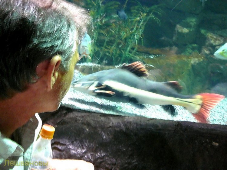 2007 год Китай Пекин Beijing Zoo Пекинский зоопарк - 16 2007.06.20 Океанариум 008.JPG