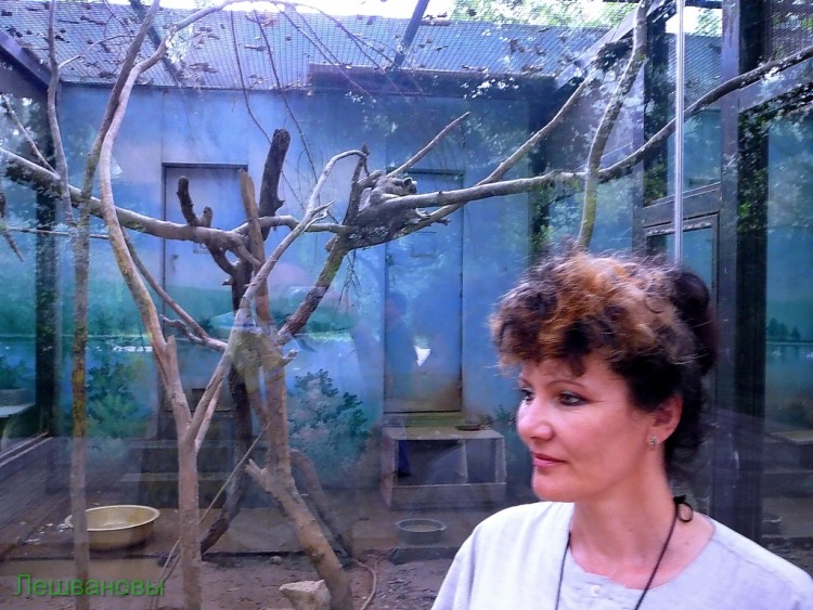 2007 год Китай Пекин Beijing Zoo Пекинский зоопарк - 2007.06.20 Зоопарк 017.JPG