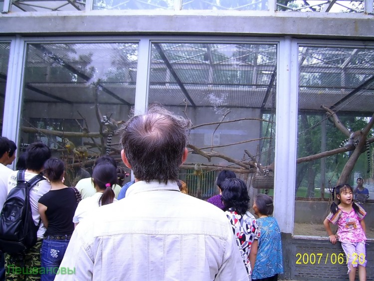 2007 год Китай Пекин Beijing Zoo Пекинский зоопарк - 2007.06.20 Зоопарк 021.JPG