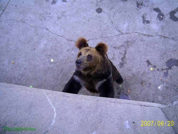 2007 год Китай Пекин Beijing Zoo Пекинский зоопарк - 2007.06.20 Зоопарк 028.JPG