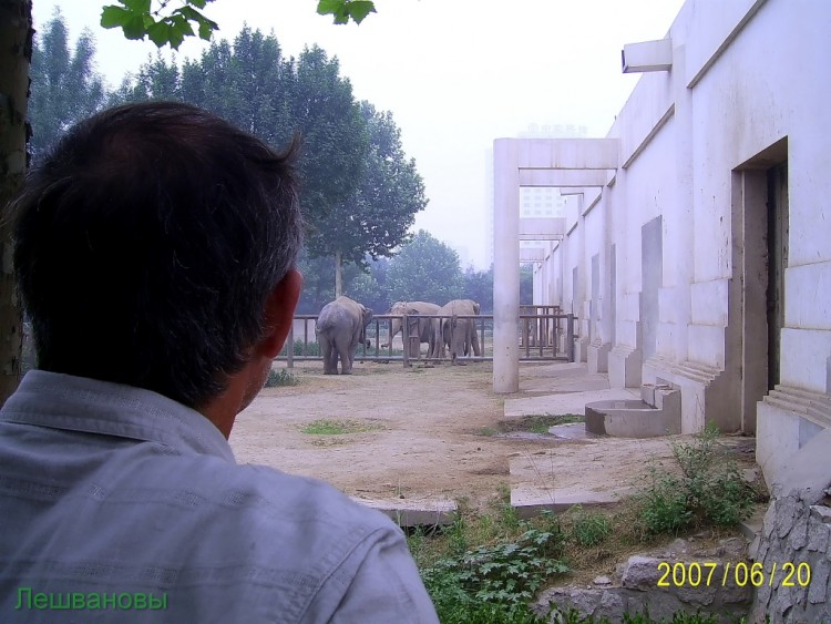 2007 год Китай Пекин Beijing Zoo Пекинский зоопарк - 2007.06.20 Зоопарк 045.JPG