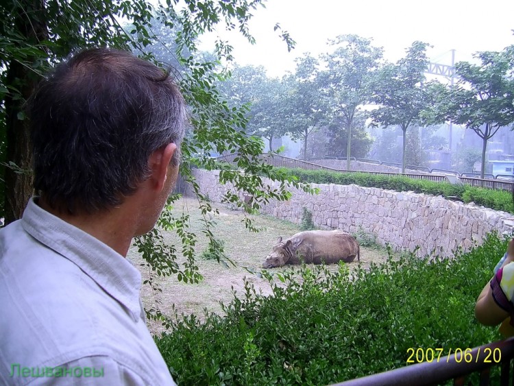 2007 год Китай Пекин Beijing Zoo Пекинский зоопарк - 2007.06.20 Зоопарк 049.JPG