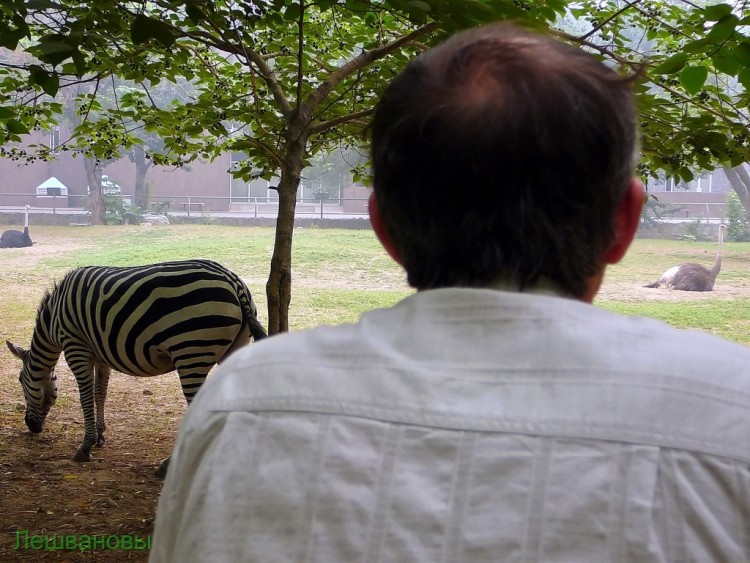 2007 год Китай Пекин Beijing Zoo Пекинский зоопарк - 2007.06.20 Зоопарк 075.JPG