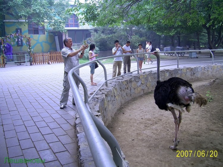 2007 год Китай Пекин Beijing Zoo Пекинский зоопарк - 2007.06.20 Зоопарк 078.JPG