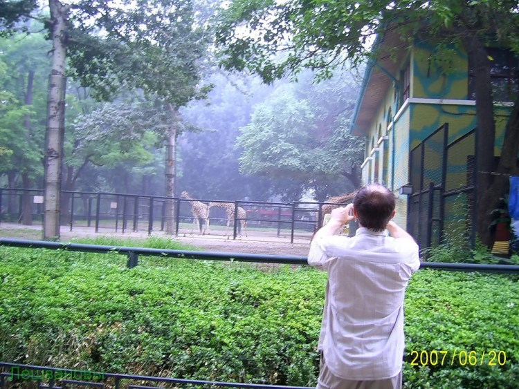 2007 год Китай Пекин Beijing Zoo Пекинский зоопарк - 2007.06.20 Зоопарк 081.JPG