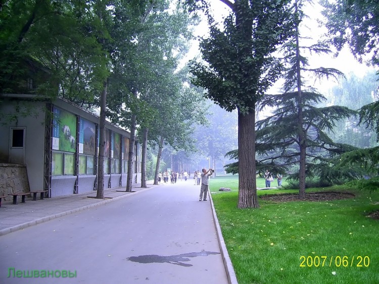 2007 год Китай Пекин Beijing Zoo Пекинский зоопарк - 2007.06.20 Зоопарк 105.JPG