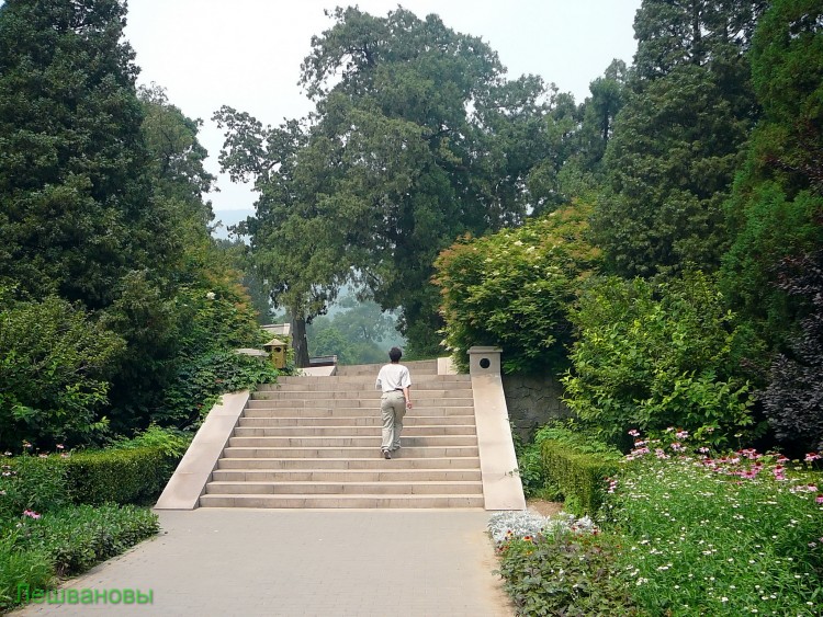 2007 год Китай Пекин Botanical Garden Ботанический сад - 18  2007.06.21 Ботанический сад 041.JPG