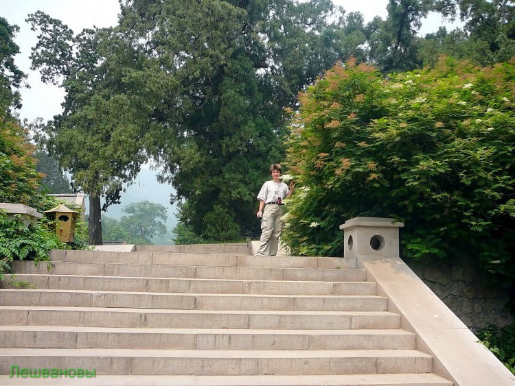 2007 год Китай Пекин Botanical Garden Ботанический сад - 18  2007.06.21 Ботанический сад 042.JPG