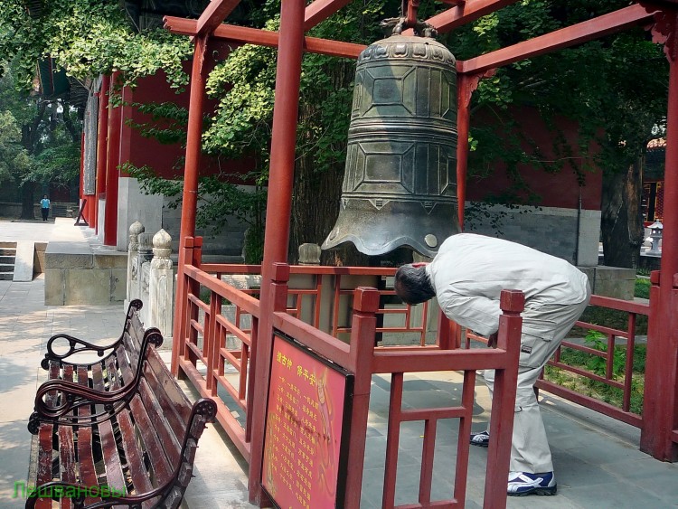 2007 год Китай Пекин Botanical Garden Ботанический сад - 18  2007.06.21 Ботанический сад 052.JPG