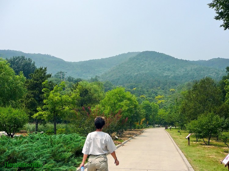 2007 год Китай Пекин Botanical Garden Ботанический сад - 18  2007.06.21 Ботанический сад 066.JPG