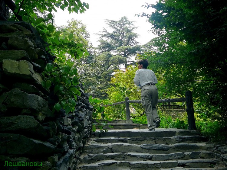 2007 год Китай Пекин Botanical Garden Ботанический сад - 18  2007.06.21 Ботанический сад 075.JPG