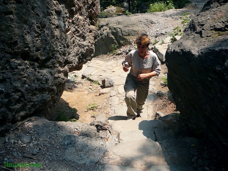 2007 год Китай Пекин Botanical Garden Ботанический сад - 18  2007.06.21 Ботанический сад 077.JPG