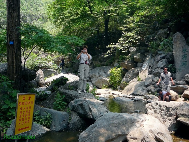 2007 год Китай Пекин Botanical Garden Ботанический сад - 18  2007.06.21 Ботанический сад 079.JPG