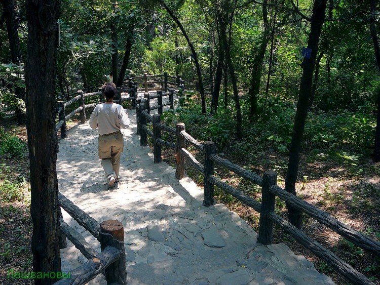 2007 год Китай Пекин Botanical Garden Ботанический сад - 18  2007.06.21 Ботанический сад 081.JPG