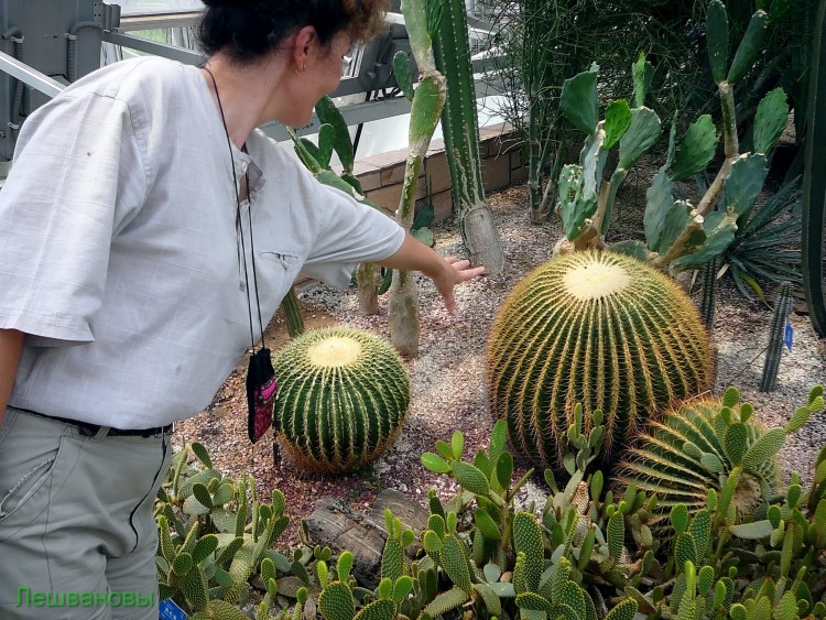 2007 год Китай Пекин Botanical Garden Ботанический сад - 18  2007.06.21 Ботанический сад 105.JPG