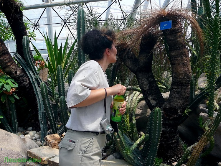 2007 год Китай Пекин Botanical Garden Ботанический сад - 18  2007.06.21 Ботанический сад 115.JPG