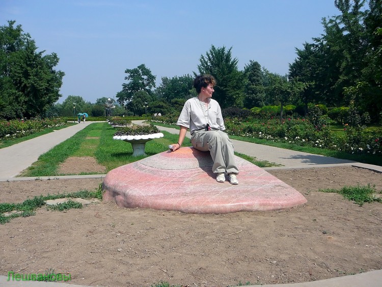 2007 год Китай Пекин Botanical Garden Ботанический сад - 18  2007.06.21 Ботанический сад 185.JPG