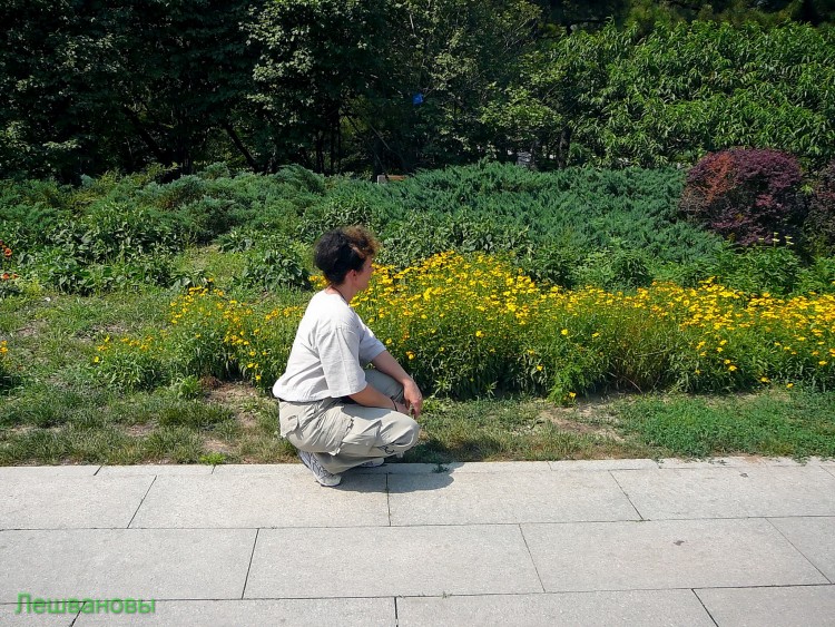 2007 год Китай Пекин Botanical Garden Ботанический сад - 18  2007.06.21 Ботанический сад 199.JPG