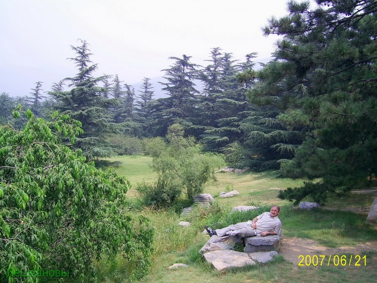 2007 год Китай Пекин Botanical Garden Ботанический сад - 18  2007.06.21 Ботанический сад 217.JPG