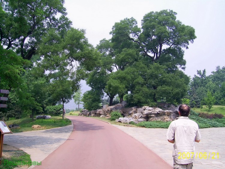 2007 год Китай Пекин Botanical Garden Ботанический сад - 18  2007.06.21 Ботанический сад 221.JPG