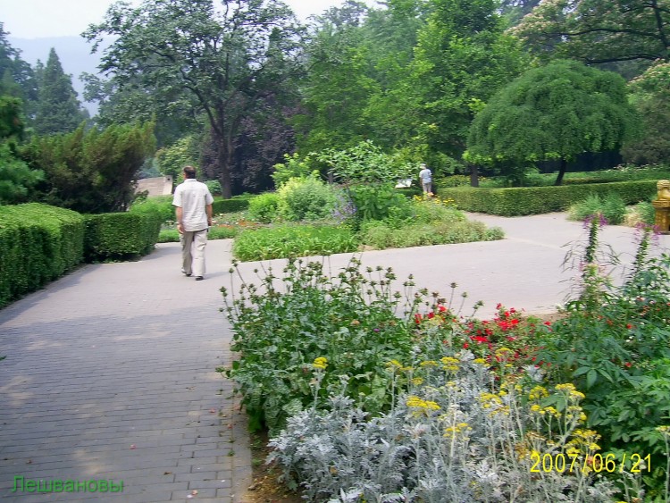 2007 год Китай Пекин Botanical Garden Ботанический сад - 18  2007.06.21 Ботанический сад 228.JPG