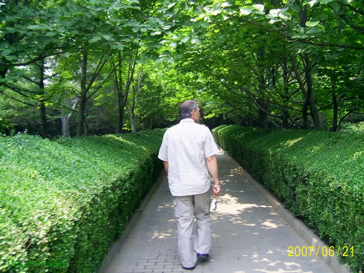 2007 год Китай Пекин Botanical Garden Ботанический сад - 18  2007.06.21 Ботанический сад 244.JPG