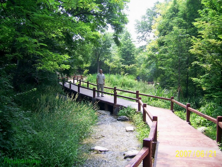 2007 год Китай Пекин Botanical Garden Ботанический сад - 18  2007.06.21 Ботанический сад 247.JPG