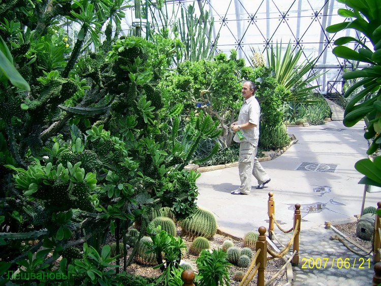 2007 год Китай Пекин Botanical Garden Ботанический сад - 18  2007.06.21 Ботанический сад 279.JPG