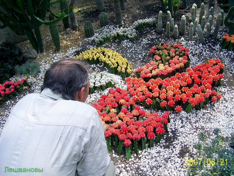 2007 год Китай Пекин Botanical Garden Ботанический сад - 18  2007.06.21 Ботанический сад 286.JPG