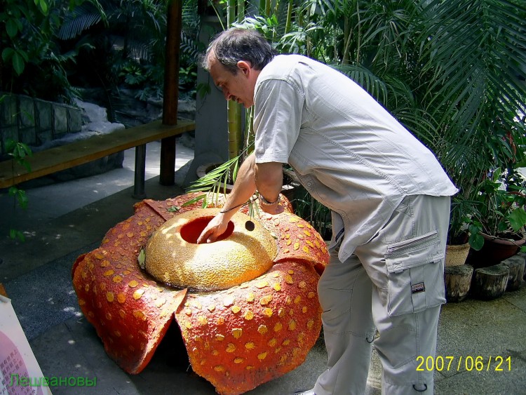 2007 год Китай Пекин Botanical Garden Ботанический сад - 18  2007.06.21 Ботанический сад 321.JPG